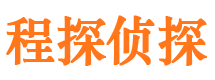 新华市私家侦探